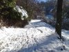 Foto0066.jpg
