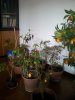 2015-02-12 09.25.37.jpg
