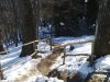 Foto0077.jpg
