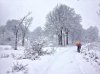 2015-02-14 Caglio 03.jpg