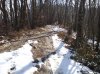 Foto0096.jpg