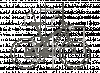 150_img_geo.gif