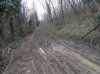 SDC17636.jpg