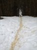 Foto0111.jpg