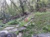 20150424_094654.jpg