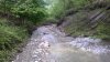WP_20150425_002.jpg