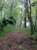 Foto0135.jpg