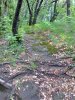 Foto0133.jpg