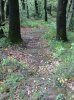 Foto0132.jpg