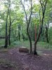 Foto0136.jpg
