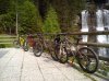 DSC_0176.jpg