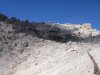 P1020278-rid.jpg