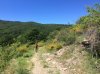 IMG-20150608-WA004.jpg