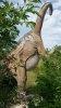 20150613_093852.jpg