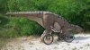 20150613_094007.jpg