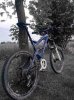 IMG_20150425_160045blu.jpg
