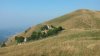 20150808_090142.jpg