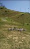 IMG_20150906_134734.jpg
