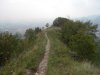 SDC10400.jpg