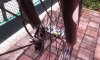 20150925_094502.jpg