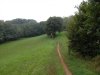 SDC10428.jpg