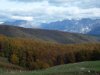 SDC10487.jpg