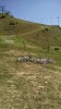 IMG_20150906_134530423.jpg