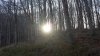 20151108_085907.jpg