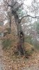 2015-12-19 11.33.56.jpg