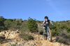 DSC_0239.jpg