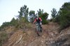 DSC_0337.jpg
