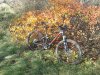 IMG-20151128-WA0005.JPG