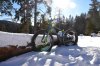 DSC_0087.jpg