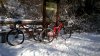 IMG-20160213-WA0027.jpg