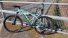 bianchi 2.jpg