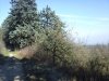 20160221_141701.jpg