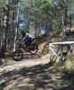 IMG_20160224_224310.jpg