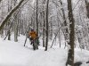 2016-02-28 Artavaggio 11.jpg