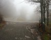 20160223_160241.jpg
