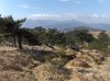 2016-03-12 Anello di Masone 06.jpg