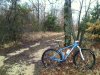IMG_20160310_092744.jpg