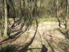 20160320_120321.jpg