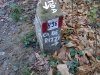 Foto0203.jpg