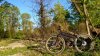 WP_20160414_18_45_56_Pro.jpg