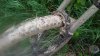 20160423_105551.jpg