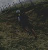 IMG_20160430_171024.jpg