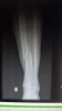tibia.jpg