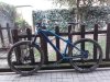 20160313_153053.jpg