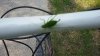 20160526_170106.jpg