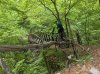 2016-05-28 Morterone-Frera-Resinelli 02.jpg